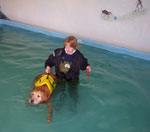 Bronco Swim