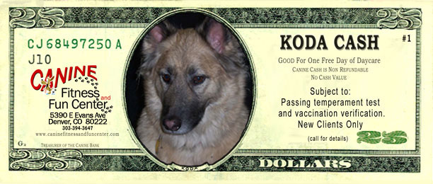 Koda Cash