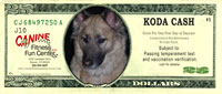 Canine Cash