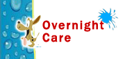 Overnight Care